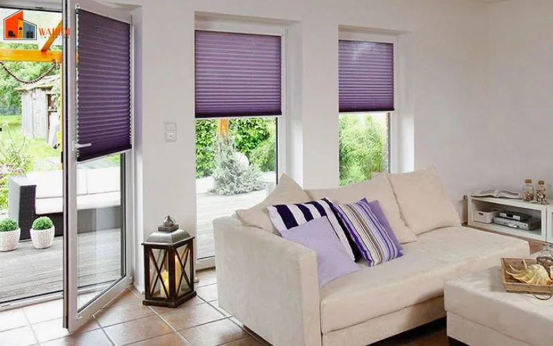 Duplex Pleated Blinds